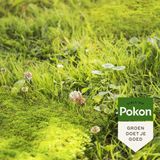 POKON MOS EN ONKRUID WEG! (3-IN-1) 1375 GRAM 25M²