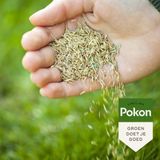 Pokon - Pokon SOS Graszaad Herstel - 250gr