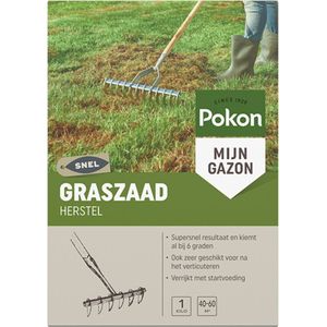 Pokon Graszaad Herstel - 1kg - Gazonherstel - Geschikt voor 40m² tot 60m² - Supersnel egaal groen gras