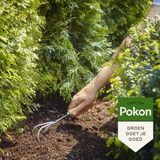 Pokon Conifeer & Taxus Mest - 2,5kg - Meststof - 3-in-1 werking