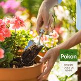 Pokon Bio Potgrond voor Terras & Balkonplanten - 40l - potgrond (biologisch) - 100 dagen voeding