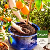 Pokon BIO MPS RHP Mediterrane Potgrond 45 Liter