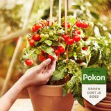 Pokon Moestuin Grond Biologisch 10 liter