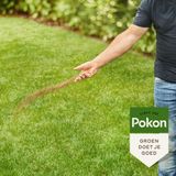 4x Pokon Gazonmest voor 30m2 Biologisch 2 kg