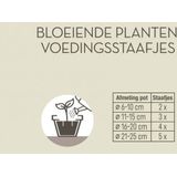 Pokon Bloeiende Planten Voedingsstaafjes - 24st - Plantenvoeding - Meststofstaafjes