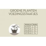 Pokon Groene Planten Voedingsstaafjes - 24st - Plantenvoeding - Meststofstaafjes