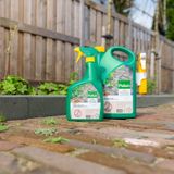 POKON TEGEN ONKRUID SPRAY 1 LITER