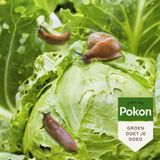 Pokon Tegen Slakken Korrels Biologisch 450 gr