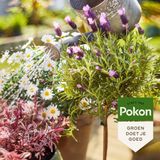 Pokon BIO Terras & Balkon Planten Voeding 1 Liter Voordeelverpakking