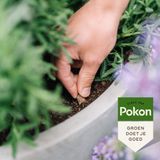 Pokon Bio Voedingskegels voor Terras- & Balkonplanten - 40 stuks - 120 dagen voeding - Biologische Plantenvoeding