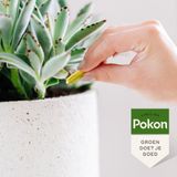 Pokon Bio Kuur voor Weerbare en Gezonde Kamerplanten - Capsules - 12 stuks - Geschikt voor alle kamer-, buitenplanten en moestuin