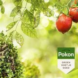Pokon Bio Kuur Voor Weerbare en Gezonde Planten Concentraat - 500ml - Verhoogt plantweerbaarheid - Geschikt voor buitenplanten, moestuinplanten en fruitbomen