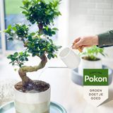 Pokon Bio Bonsai Voeding - 250ml - Plantenvoeding (bio) - 7ml per 1L water