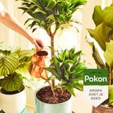 Pokon Kokos Potgrond Compact voor Kamerplanten - 10l - Potgrond (kamerplant) - 6 maanden voeding - Alleen water toevoegen