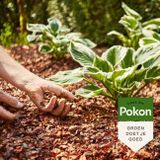 Pokon Cacaodoppen - 40l - Cacaodoppen voor grondbedekking - Bodembedekkers - Houdt slakken op afstand