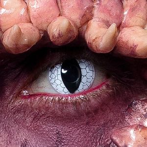 Boland - Paar Weeklenzen Dragon - Volwassenen - Halloween en Horror - Zacht en Comfortabel