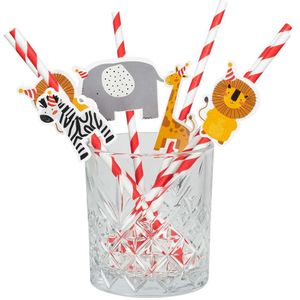 Rietjes Safari Papier 6 Stuks