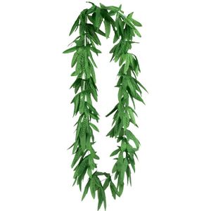 Hawaii Krans Highwaii