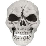 Halloween Skelet Schedel En Armen