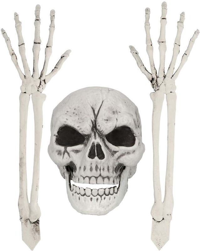 Halloween Skelet Schedel En Armen