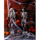 Halloween kraai 23cm x 10cm