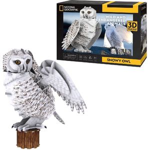 Cubic Fun - National Geographic 3D Puzzel - Sneeuwuil - 32 Stukjes