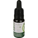 Jacob Hooy - CBD Olie - 2.75% - 10ml