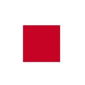 Artequipment TALENS REMBRANDT 40ML 306 - CADMIUM RED DEEP - Ölfarbe uniw