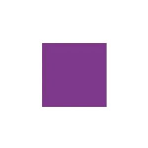 Artequipment TALENS REMBRANDT 40ML 539 - COBALT VIOLET - Ölfarbe uniw
