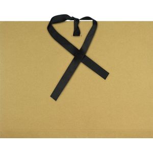 Kangaro tekenmap opbergmap A4 - 500 grams karton