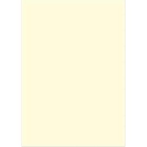 Kangaro papier - A4 - 120 gram FSC - pak 100 vel - beige - K-0043F435
