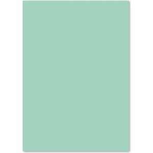 Kangaro papier - A4 - 120 gram FSC -  pak 100 vel - pastel groen - K-0043P004