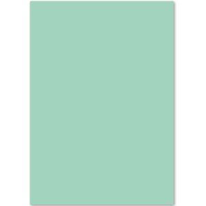 Kangaro papier - A4 - 160 gram FSC - pak 50 vel - pastel groen - K0039P004