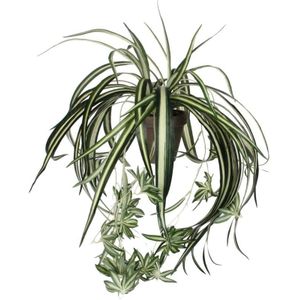 Mica Decorations Chlorophytum Kunstplant in Bloempot Stan - H45 x Ø45 cm - Groen