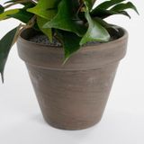 Mica Decorations Ficus Natasja Kunstplant in Bloempot Stan - H40 x Ø30 cm - Groen