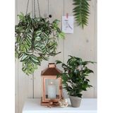 Mica Decorations Ficus Natasja Kunstplant in Bloempot Stan - H40 x Ø30 cm - Groen
