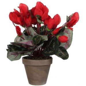 Mica Decorations - Cyclaam - Kunstplant - Rood - Terracotta Pot