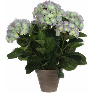 Groene Hortensia paarse bloemen kunstplanten 45 cm met pot