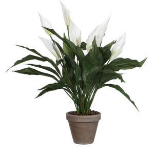 Mica Decorations Spathiphyllum Kunstplant in Bloempot Stan - H50 x Ø40 cm - Wit