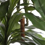 Mica Decorations Dracaena Kunstplant - H100 x Ø70 cm