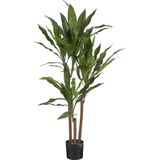 Mica Decorations Dracaena Kunstplant - H100 x Ø70 cm