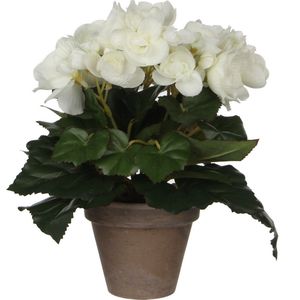 Witte Begonia Kunstplant met Bloemen 25 cm In Grijze Pot - Kunstplanten/Nepplanten - Voor Binnen