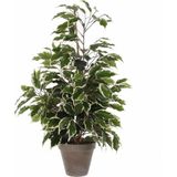 Kunstplant - Groen - Kunststof - 70 cm