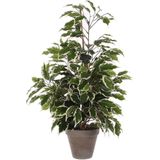 Kunstplant - Groen - Kunststof - 70 cm