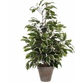 Kunstplant - Groen - Kunststof - 70 cm