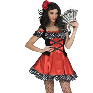 Heks & Duistere Religie Kostuum | Heks Polka Dot | Vrouw | Maat 44-46 | Halloween | Verkleedkleding