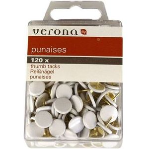 120 cervo punaises wit 1222
