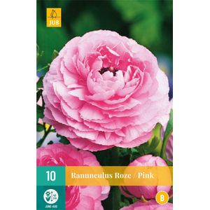 Ranunculus roze/pink 10st