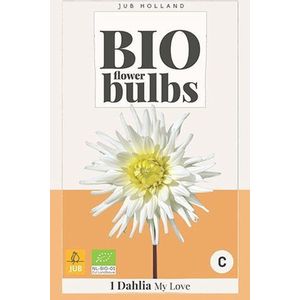 1 Bio Dahlia My Love