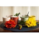 Studio Tavola - Bekers Sunny Summer - 350 ml - 6 Stuks - Mix van Kleuren